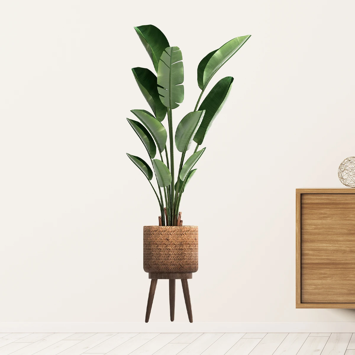 Simulation grüne Pflanze dekor – Interior Design Office Bewertung und Preis