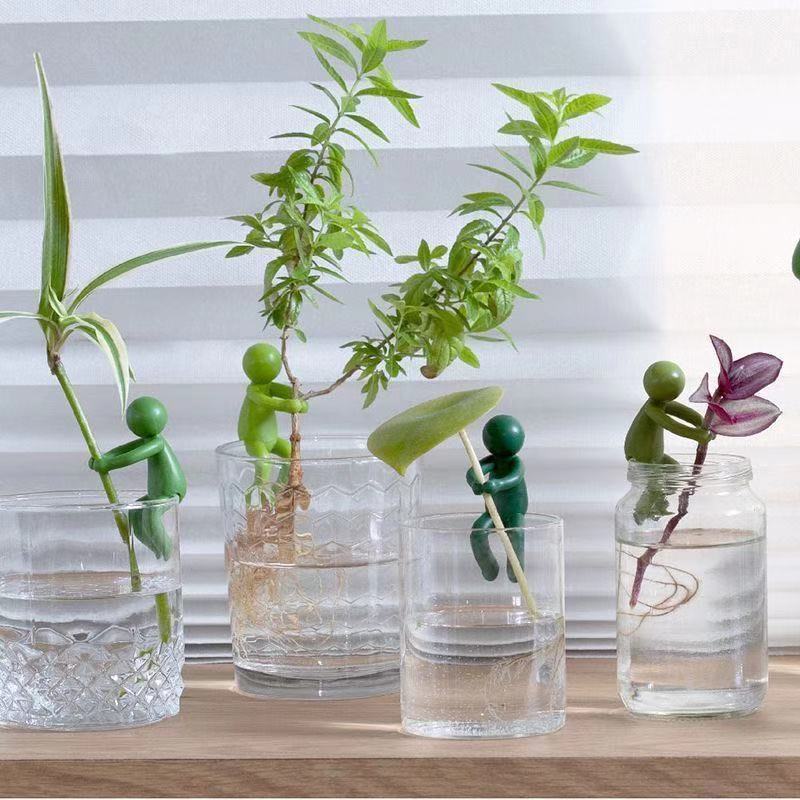 Hydroponische Pflanzen-Fixierf – Interior Design Office Bewertung und Preis