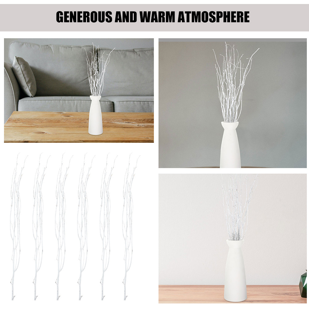 12 Stück natürliche kleine Zwe – Interior Design Ideas Bewertung und Preis