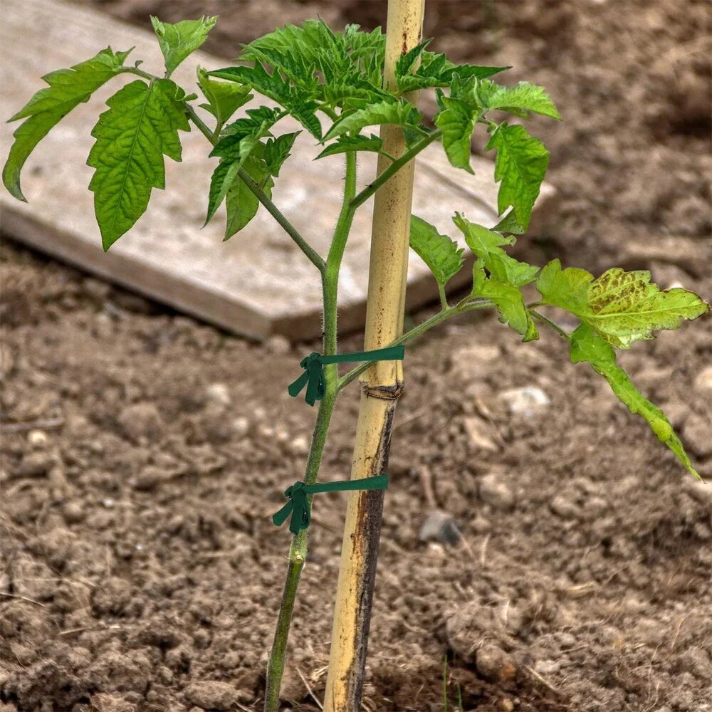 1 Stück grüner Gartenseil-Stof – Interior Design Office Bewertung und Preis